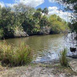 Sweetwater Hammock Preserve