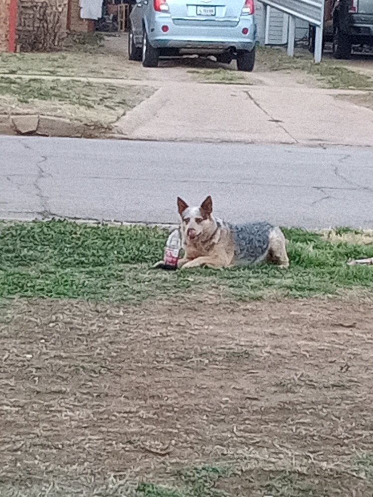 JR TIRES TRUCK AND TRAILER REPAIR Updated July 2024 601 Ave F NE
