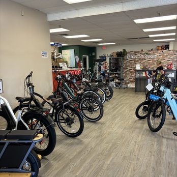 Elecruiser Electric Bikes - Bicycle selection - Bikes Near Me - Boca Raton, Florida