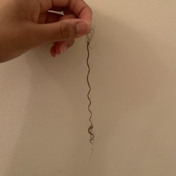 Strand of hair fell out after washing it Strand of hair fell out after washing it