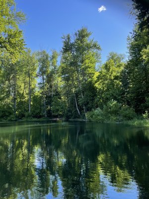 Enchantment Park by null