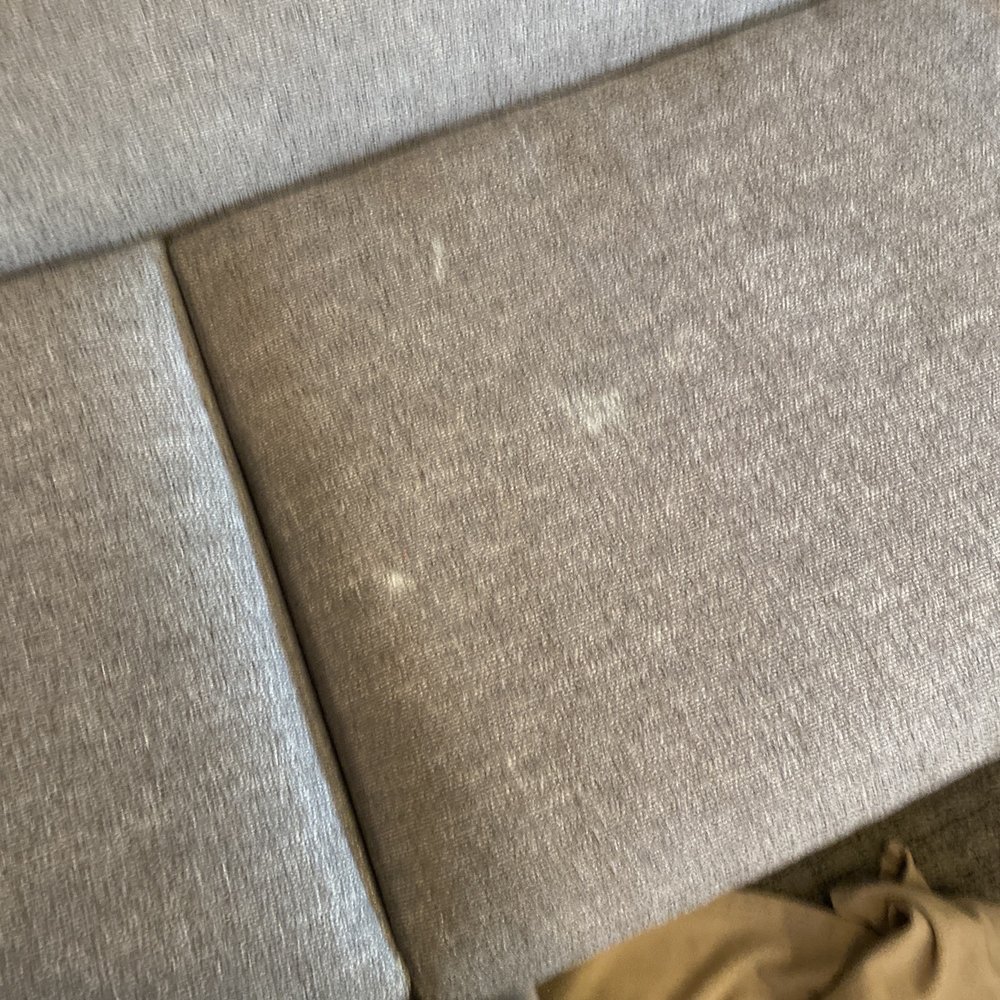 Element Seattle Sea-Tac Airport - Accused of stains on couch that was there when I moved in here to for the stay!! Which is why I use blankets to cover it. - Hotels Near Me - Seattle, Washington Element Seattle Sea-Tac Airport - Accused of stains on couch that was there when I moved in here to for the stay!! Which is why I use blankets to cover it. - Hotels Near Me - Seattle, Washington