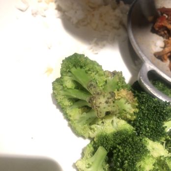 Sergio's Restaurant - Breakfast & Brunch Near Me - Miami, Florida