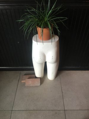 The Nook on Robinson by null