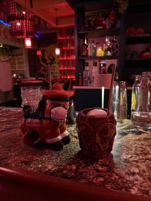 Gato Exotico by null