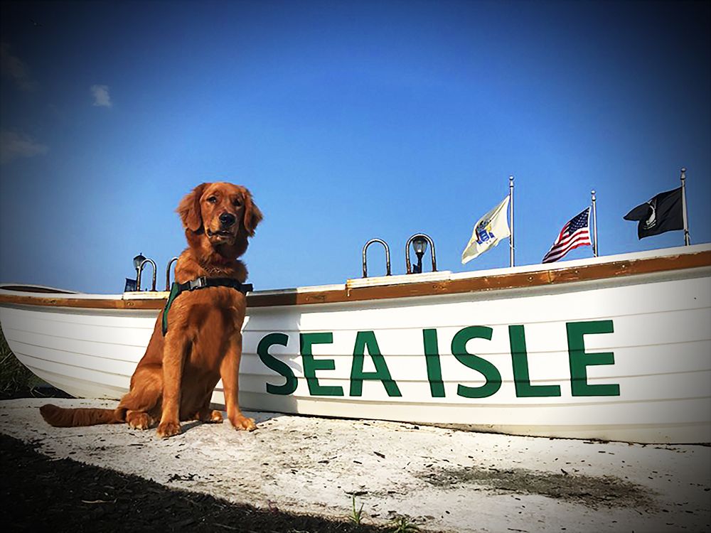 JULIETTA TOCCI Contact Agent 4201 Landis Ave, Sea Isle City, New