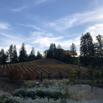 Theorem Vineyards - Wineries Near Me - Calistoga, California
