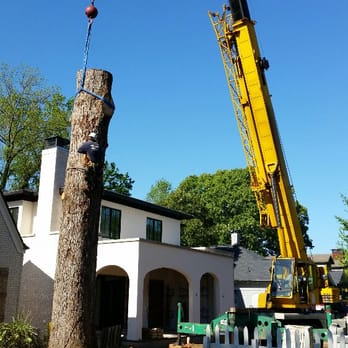 3-G Trees - Tree Services Near Me - Lawrenceville, Georgia