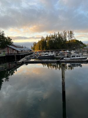 Telegraph Cove Resort by null