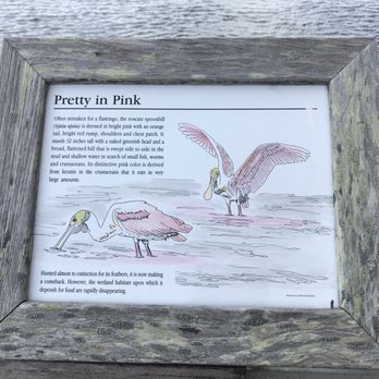 John D. MacArthur Beach State Park - Parks Near Me - Palm Beach, Florida
