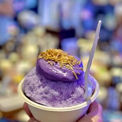 Wailua Shave Ice - Ube Shave Ice (topped with toasted coconut)