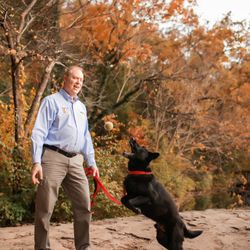 Bark Busters Home Dog Training