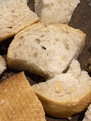 Photo of The Melting Pot - Roswell, GA, US. Bugs on food