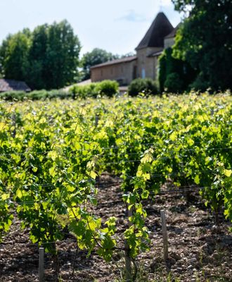 Château Carbonnieux - Grand cru classé de Graves - Pessac Léognan by null
