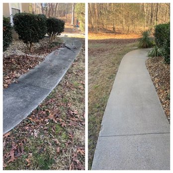 Jason's Services - Sideway cleaning, before and after - Tree Services Near Me