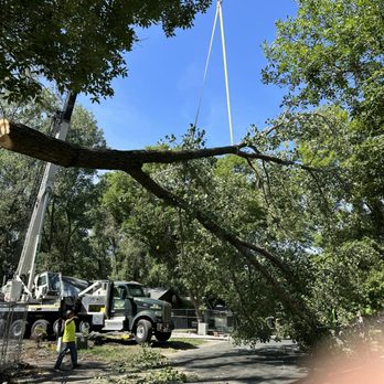 Allstate Tree Service - Tree Services Near Me - Fridley, Minnesota Allstate Tree Service - Tree Services Near Me - Fridley, Minnesota