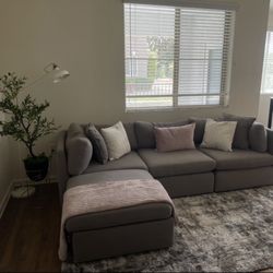 Expo Furniture - Grey sectional + tree (decoration) + rug + decorative pillows