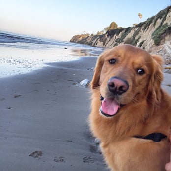One Thousand Steps Beach - Relaxing my paws! - Beaches Near Me - Santa Barbara, California