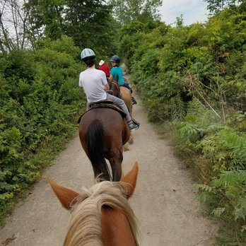 Horseplay - Horseback Riding Near Me - Port Colborne, Ontario Horseplay - Horseback Riding Near Me - Port Colborne, Ontario