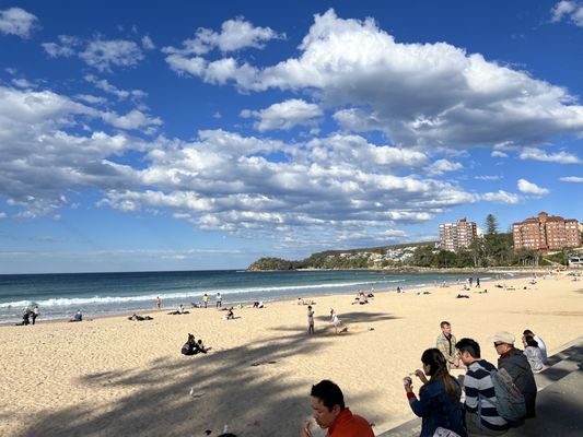 Manly Beach by null
