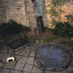 The Leaning Tree - Back yard of Leaning tree