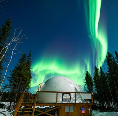 Pleasant Acres Reindeer Ranch by null