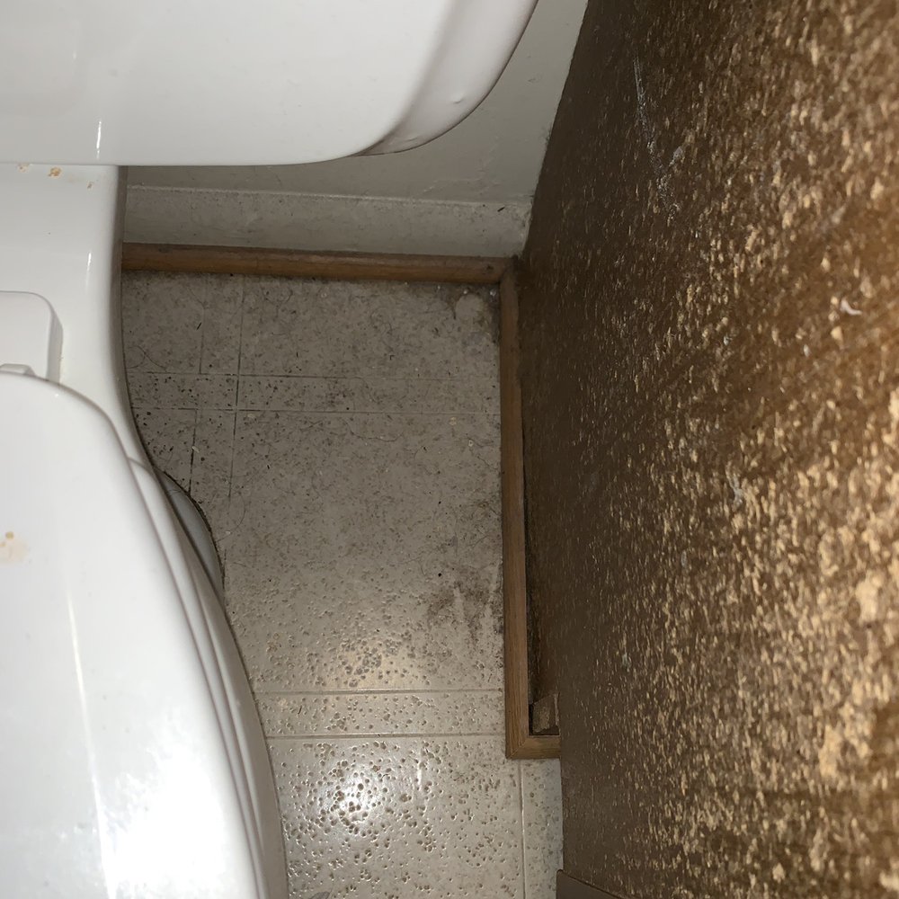 Supreme Team Cleaning - Dirty dirty dirty - Home Cleaning Near Me - Springfield, Virginia Supreme Team Cleaning - Dirty dirty dirty - Home Cleaning Near Me - Springfield, Virginia