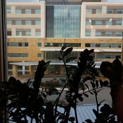 Baylor Scott & White Clinic - Lakeway