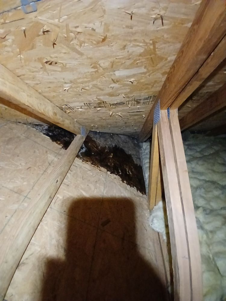 Slide of Sunshine Handyman