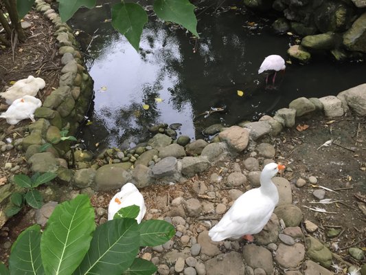 Shoushan Zoo by null