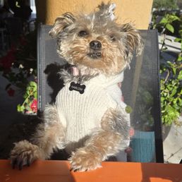 Pet friendly too! Pet friendly too!