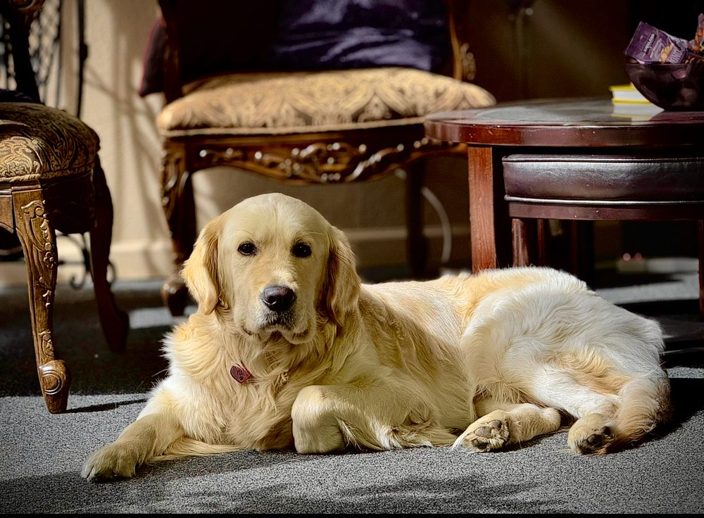 Anthony Bates Foundation - social services organization in Phoenix, AZ