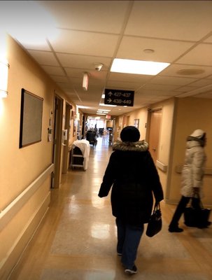 Montefiore Nyack Hospital by null