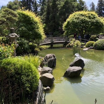 Japanese Gardens - Japanese Gardens - Parks Near Me - San Mateo, California Japanese Gardens - Japanese Gardens - Parks Near Me - San Mateo, California