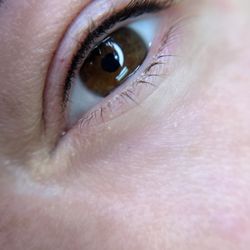 HolyBrows