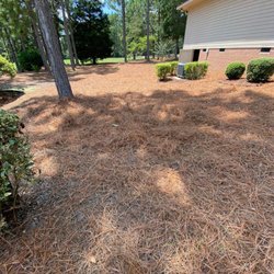 Cortes Landscape - After laying pine straw