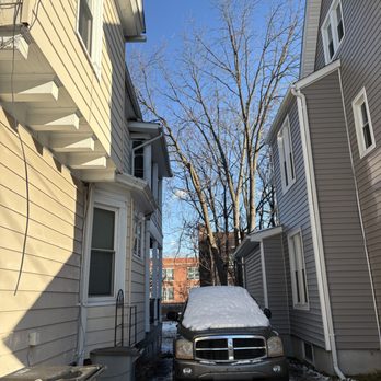 CMJ Tree Service - All done - Tree Services Near Me - Pleasant Valley, New York CMJ Tree Service - All done - Tree Services Near Me - Pleasant Valley, New York
