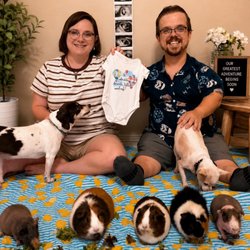 Navarre Animal Hospital