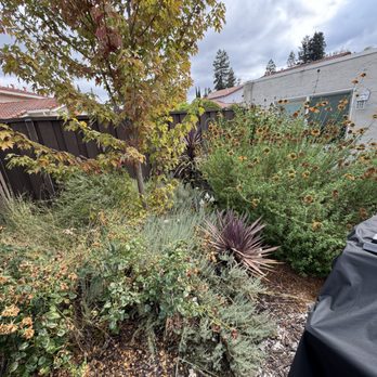 Konoha Landscaping - Back yard Before - Lawn Services Near Me Konoha Landscaping - Back yard Before - Lawn Services Near Me