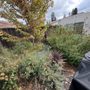 Photo of Konoha Landscaping