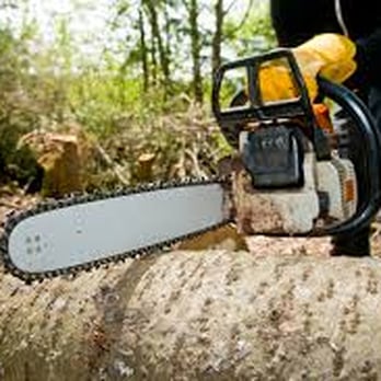 S1 Tree Service - Tree Services Near Me S1 Tree Service - Tree Services Near Me