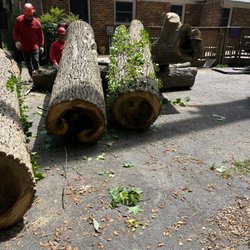 Jorge's Landscaping & Tree Service