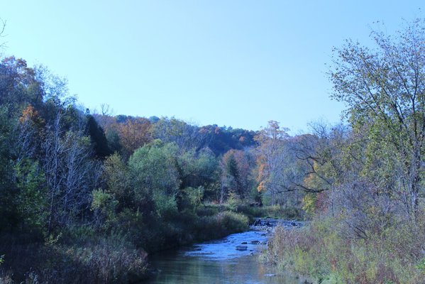 Rouge National Urban Park by null