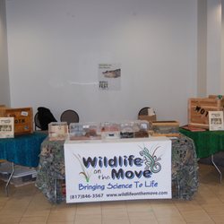Wildlife On The Move - Professional Appearance and Professional Displays!
