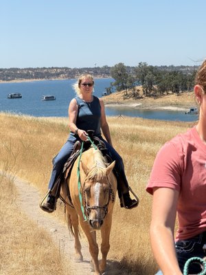 4 Horse Ranch by null