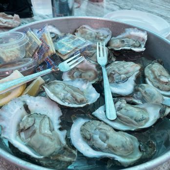 Stinkin Crawfish Key West - $1 Oysters at Happy Hour - Cajun/Creole Near Me - Key West, Florida Stinkin Crawfish Key West - $1 Oysters at Happy Hour - Cajun/Creole Near Me - Key West, Florida