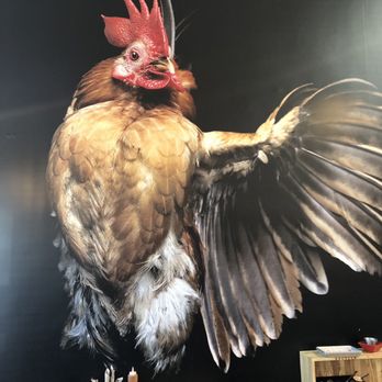 Proposition Chicken - A big chicken in the wall! - Chicken Shop Near Me - Oakland, California