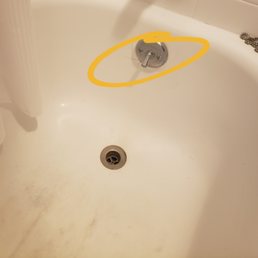 Cockroach (or "water bug" as the office will assure you) coming in through the overflow drain
