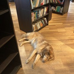 The Munich Readery - Emma