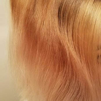 Salon Paris - I asked for no warm tones... : (  Just ashy cool tones - Hair Salons Near Me - Concord, California